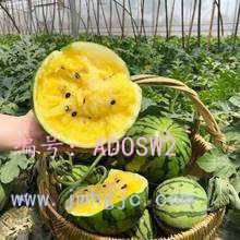 ά