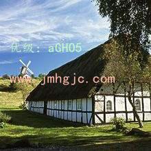 Ȧ