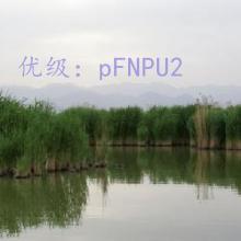 ΢