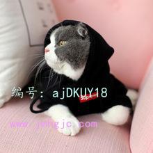 Ҿ